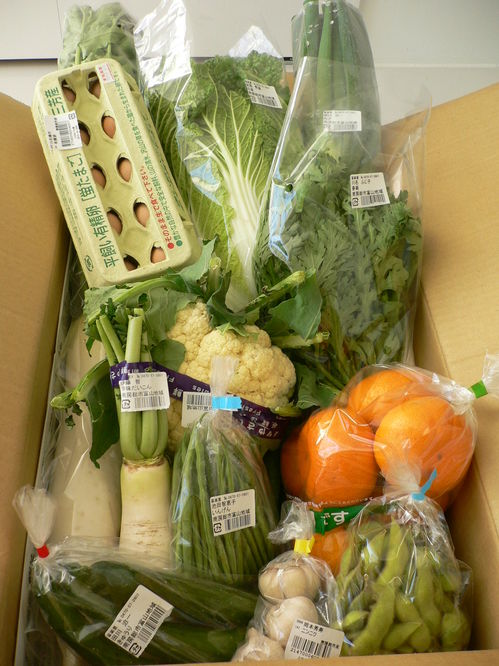 verdure chiba (2).JPG